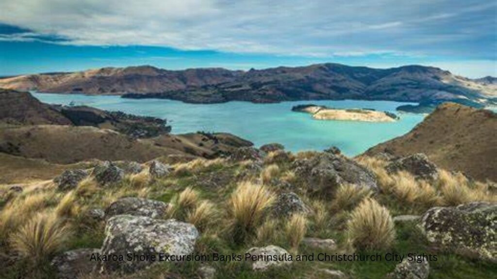 New Zealand Tourist Attraction  Nyt