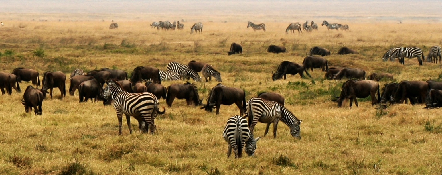 5 places to trip in africa